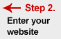 step 2 enter your website